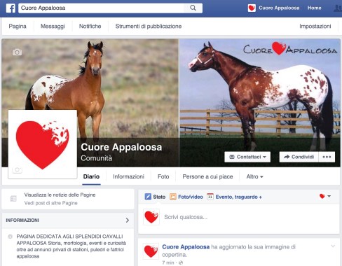 facebook-cuore-appaloosa