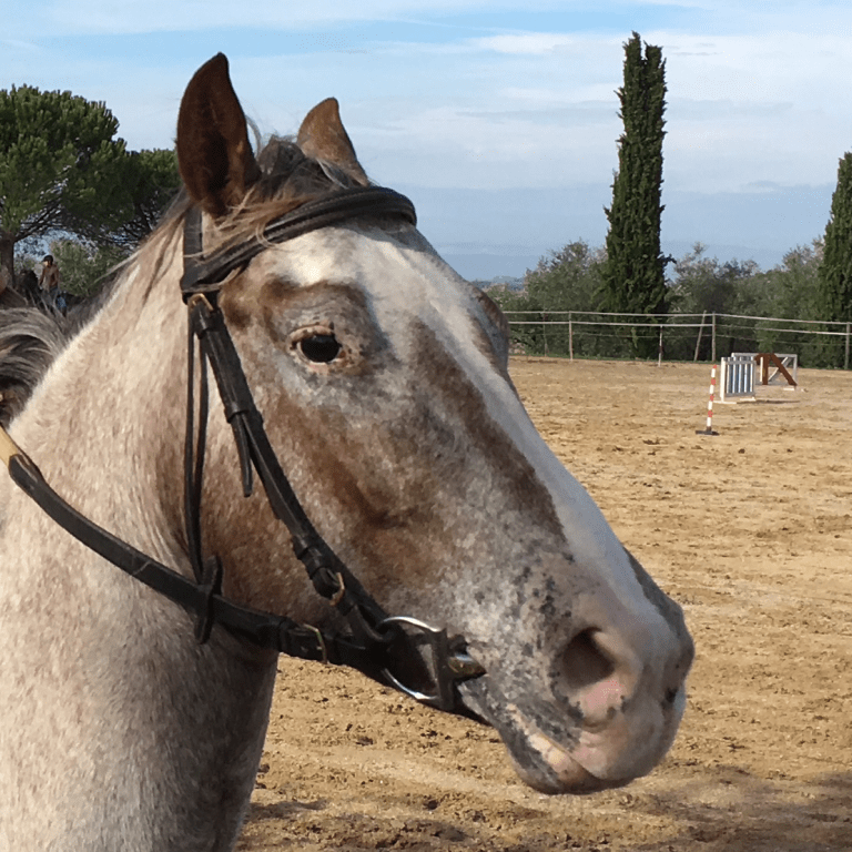 naso e occhio pigmentati