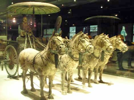 cina Qin dynasty cavalli appaloosa leopard carrozza.jpg