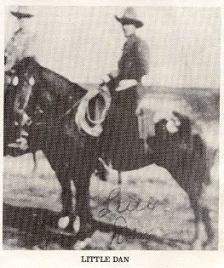 LittleDan