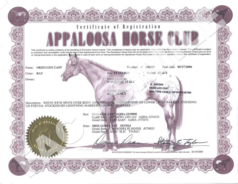 certificato-appaloosa-okeo-leo-cast