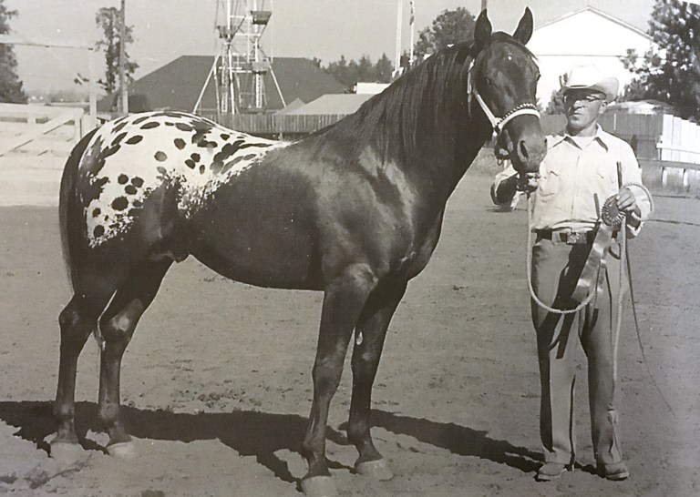 Storm Cloud F., stallonde del 1954 figlio di Red Eagle e Maize