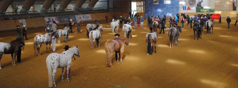 campionato italiano appaloosa 2016