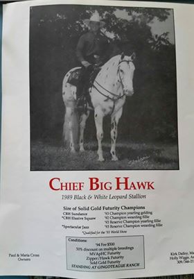 chiefbighawk