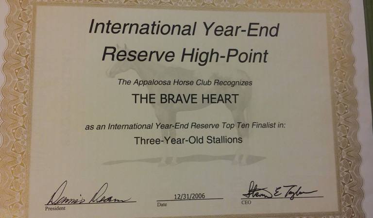 stallone appaloosa the brave heart reserve