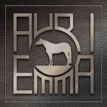 Appaloosa Show Quarter Horse Halter Leopard