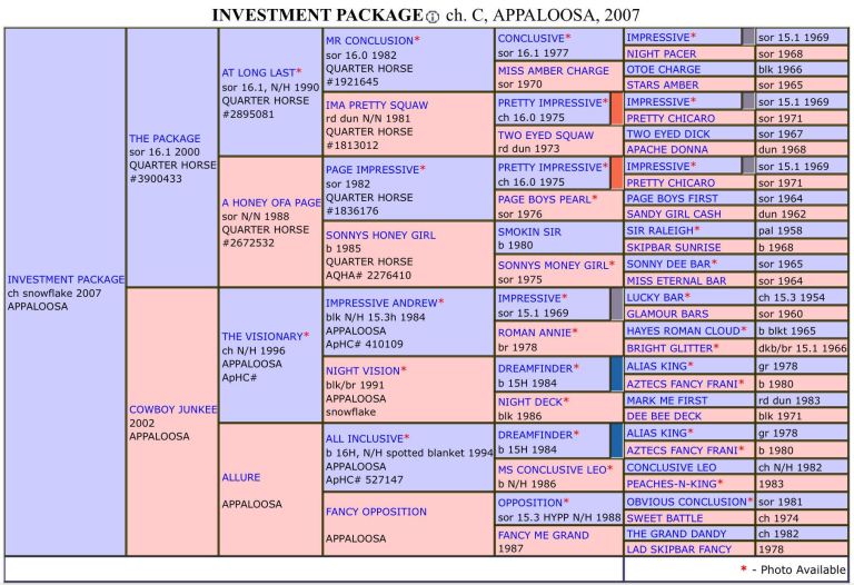 investment-package-stallone-appaloosa-pedigree