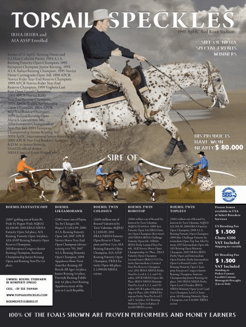 stallone-appaloosa-reining-topsail-speckles-sire