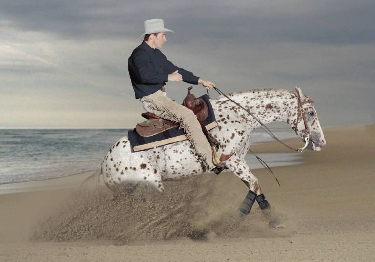 stallone-appaloosa-reining-topsail-speckles-stop
