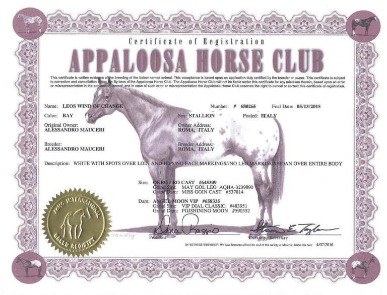 stallone appaloosa leos wind of change