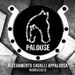 12931049_101889120214627_5910094451848532653_n