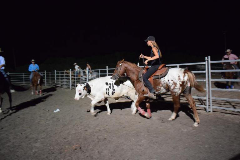 atechnicolordream-ra-appaloosa-colt-cover-working-cow-1