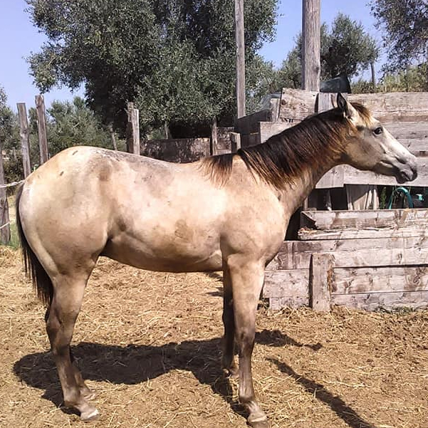 118523231_1167226346995441_4275256483900412472_n