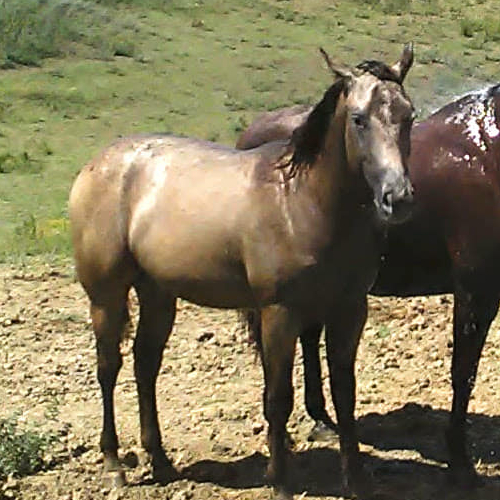 118537432_1167226450328764_8591720694076487415_n