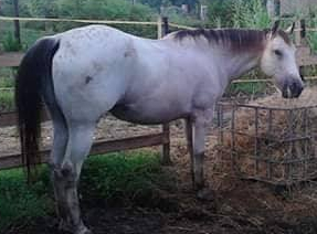 43749115_276889923154042_4174607829736357888_n