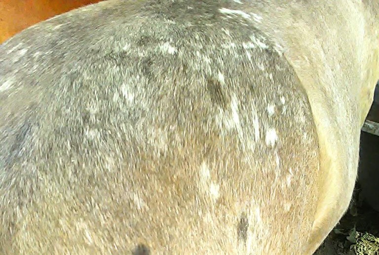 59686830_804194833298596_3556622547636191232_o