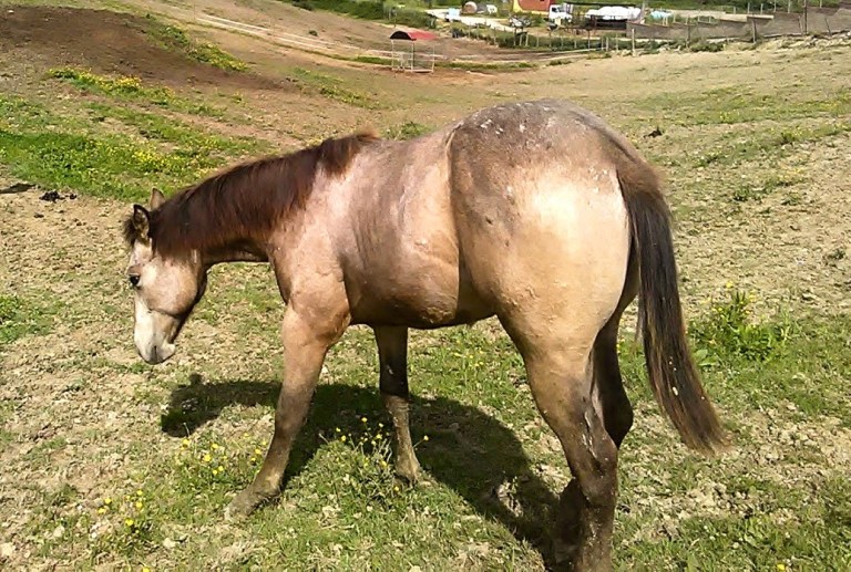 59924730_804194486631964_1070007749368086528_o