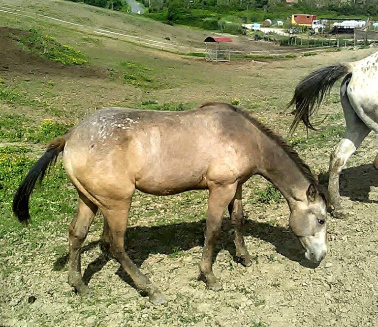 60223656_804194769965269_3097111465585278976_n