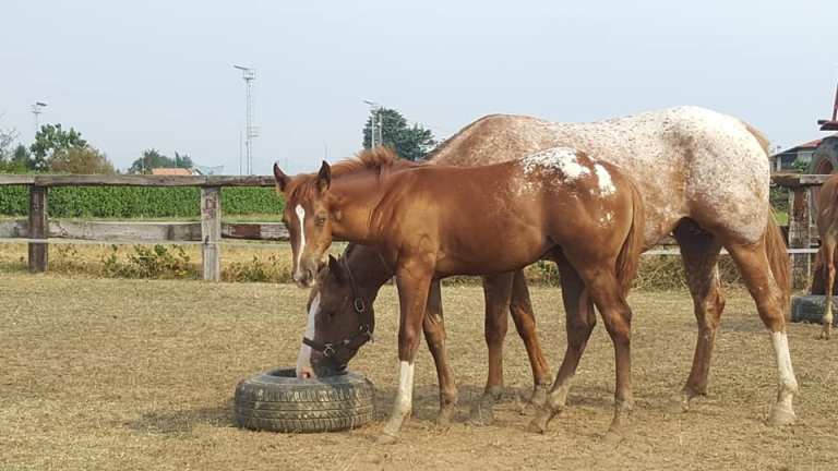 69500110_10219997537118191_3505999344371236864_n