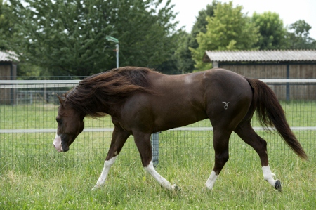 spat20split20and20white20220450x299