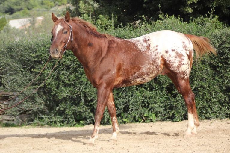 79430303_817898738636940_7330851876771987456_n