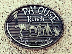 22243860_2015719288715231_1254731212_o