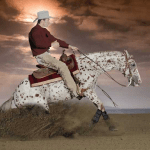 stallone-appaloosa-reining-topsail-speckles-stop