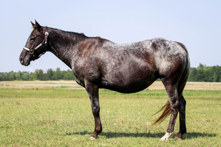 74453222_2344546418989087_4600497186239676416_o