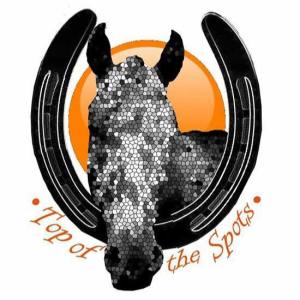 top of the spots horses breeding