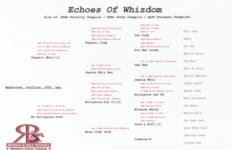 germany-reining-appaloosa-stallion-at-stud-echoes-of-whizdom-2001-pedigree.jpg