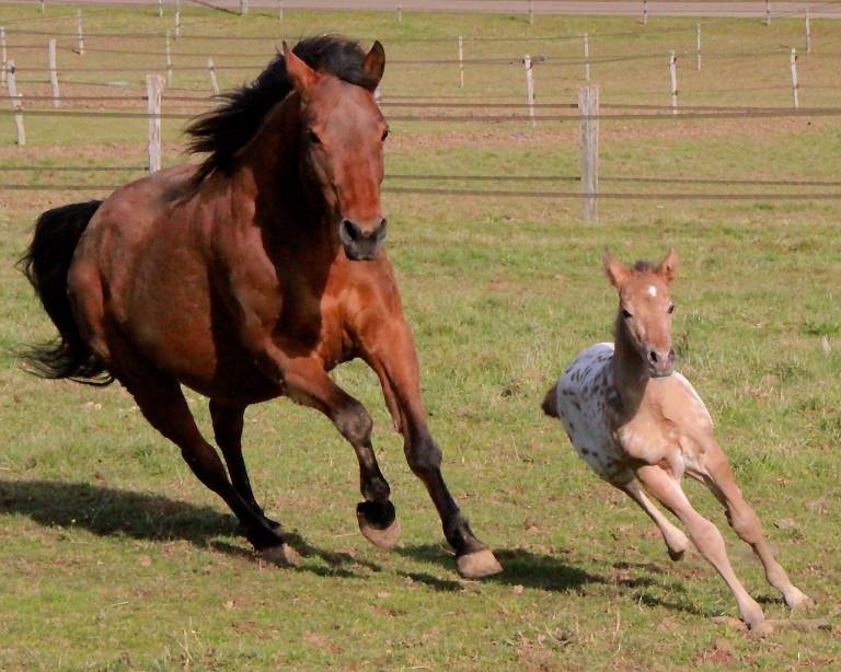 16716024_1560183664058824_4082280197933791649_o