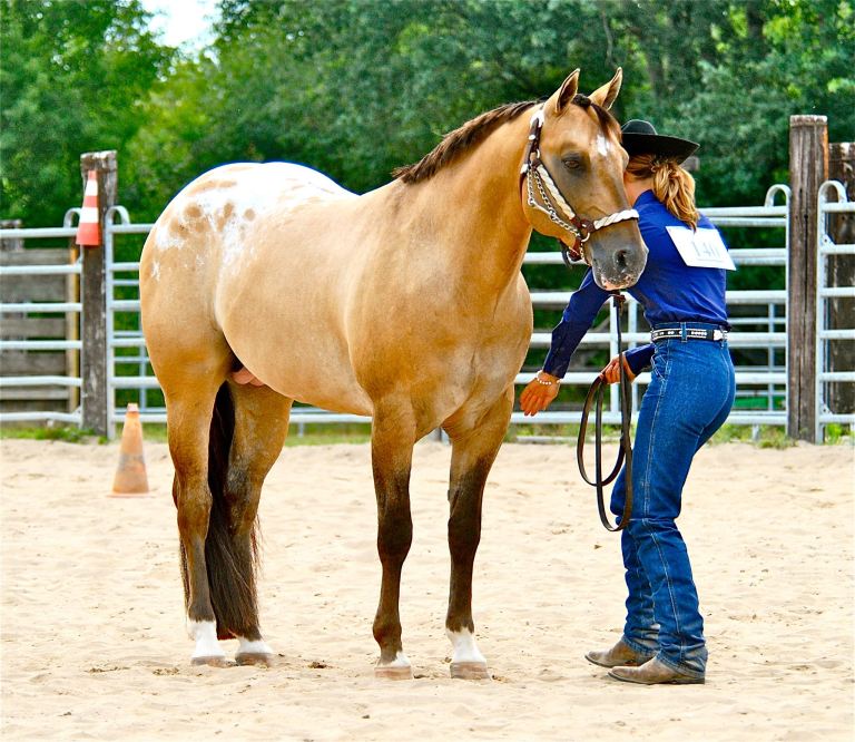 1039934_613503902056849_2015313913_o