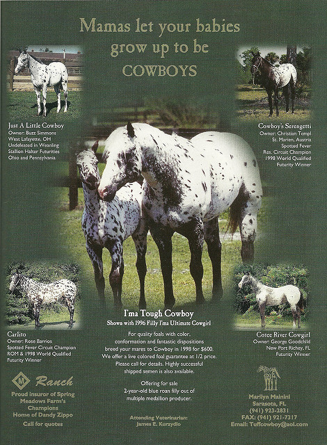 6578061725_5b91717d35_z