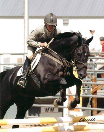 Bugzy's Dam-Girls Will Be Girls Appendix QH Mare