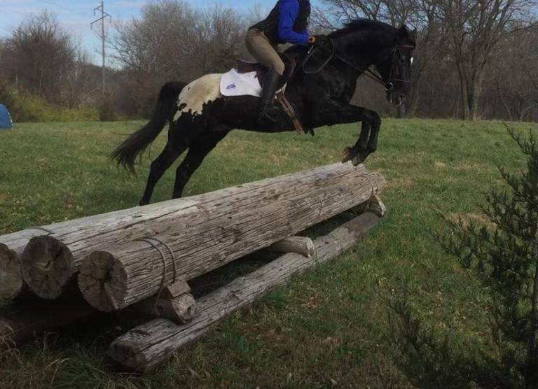 1463285_1665753880355255_1809516111808935315_n