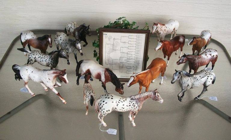 tj hurst appaloosa all models