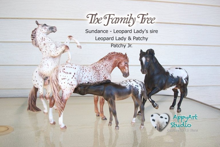 tj hurst appaloosa Sundance, Patchy, Patchy JR models